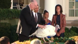 obama turkey