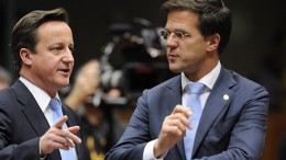 D Cameron and M. Rutte