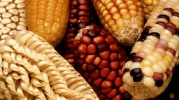 Agricultural commodities