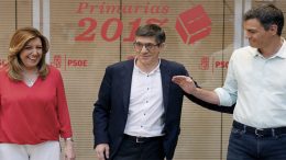 spanish socialist party primary elections