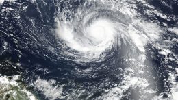 Cat bonds against Irma's hurricane