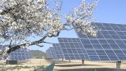 Renewables arbitration awards threaten Spain at World Cup Solar power in Spain to get investments of €70 bn