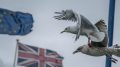 The party for Brexit, or more like the wake, has begun