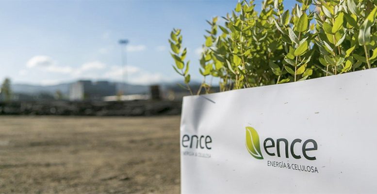 Ence: a new member in the Ibex 35 to replace DIA