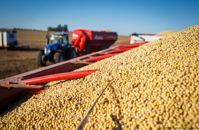 US agricultural exports to China fall by over 50% year-on-year in first half of year EEUU agricultura