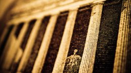 dolar detalle columnas