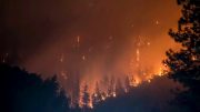 Physical climate risk: now a recurring factor in capital allocation decisions, according to Neuberger IMG 20260715 103734