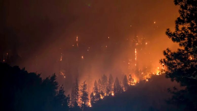 Physical climate risk: now a recurring factor in capital allocation decisions, according to Neuberger IMG 20260715 103734