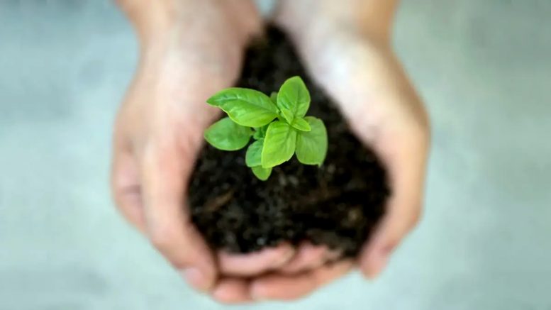 EC to reduce mandatory sustainability reporting requirements for companies by more than 60 per cent IMG 20260721 111656
