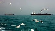 IEA warns: if Strait of Hormuznot fully reopened “within weeks, not months”, global economy will suffer as stocks run out estrecho ormuz petroleros 1
