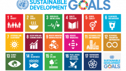 E 2018 SDG Poster with UN emblem 616x476 1