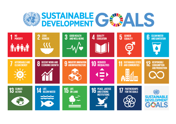 2030 Agenda falling short of targets: no country on track to meet food emissions goal E 2018 SDG Poster with UN emblem 616x476 1