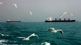 Iran announces agreement with Oman on proposed route through Strait of Hormuz estrecho ormuz petroleros